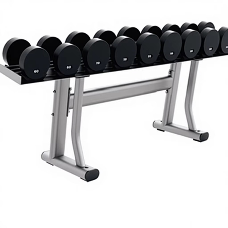 Heavy Equipment Center - YTYIN Commerciële Gym Opslag Dumbbell Rack